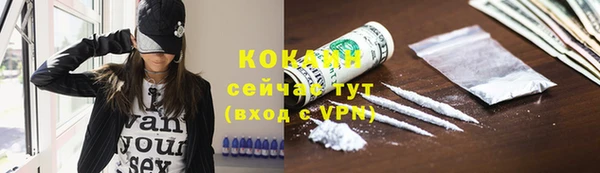мяу мяу кристалл Гусь-Хрустальный
