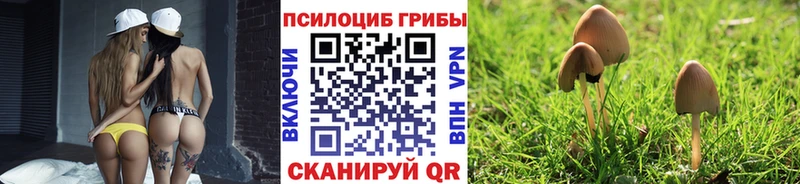 Купить  Назарово  Псилоцибиновые грибы MAGIC MUSHROOMS 